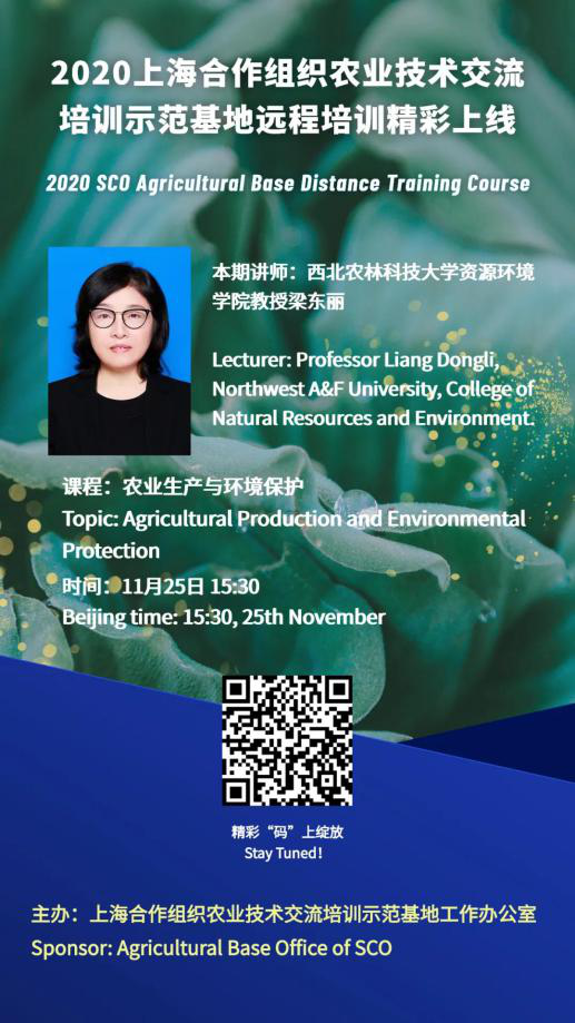 图片21.png