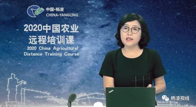 图片22.png