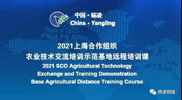 微信图片_20210226103532.jpg