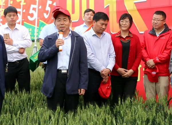 图片2