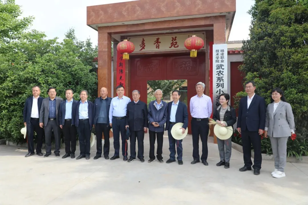 著名小麦育种家赵瑜小麦新品种接受“检阅”