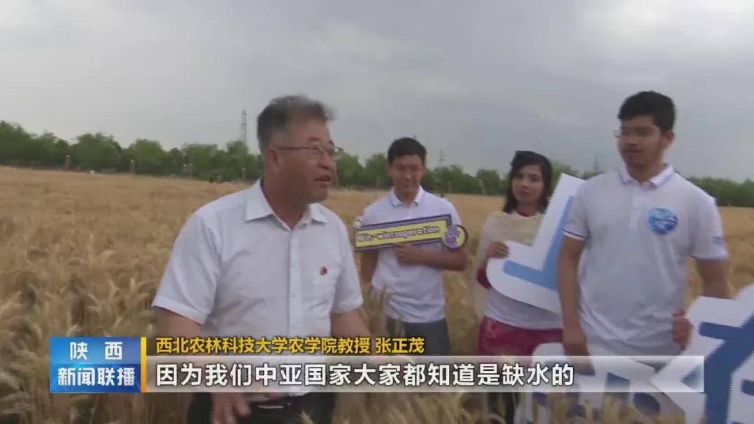 微信图片_20210615084446.jpg