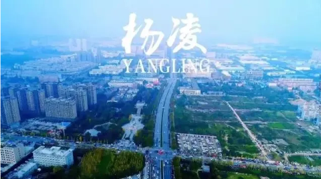 微信截图_20210614195339.png