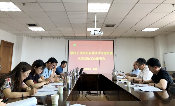 上合.jpg