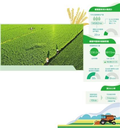 国际粮价持续高位运行 国内粮价稳得住吗？