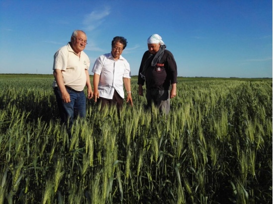 image.png?x-oss-process=style/w10