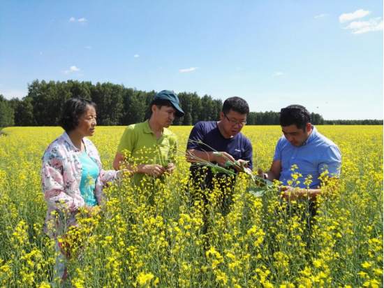 image.png?x-oss-process=style/w10