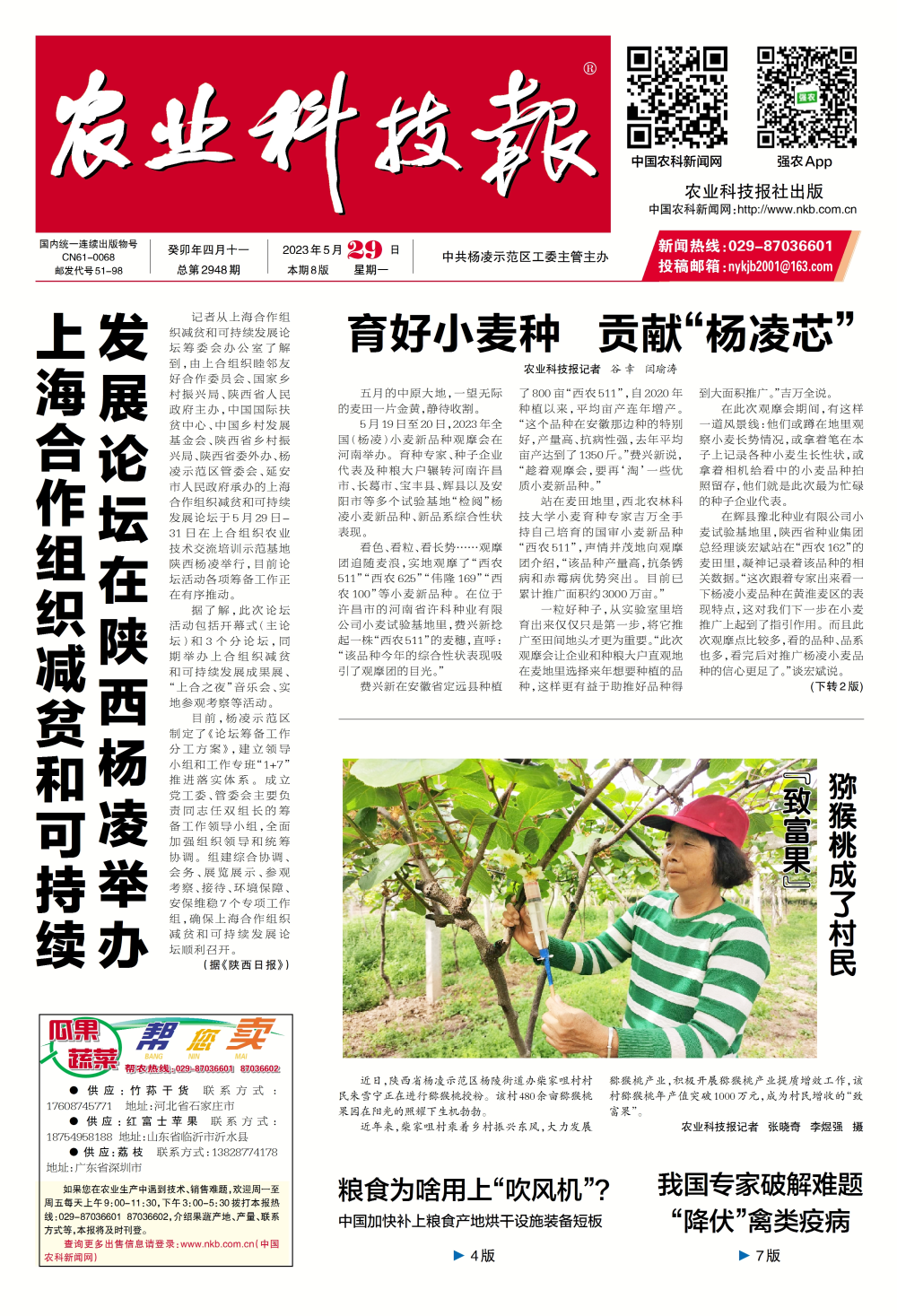 1685670984595434.png 图片