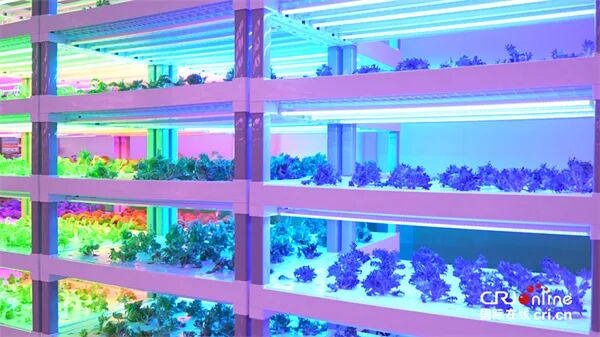 1749718507661009696.jpg 图片