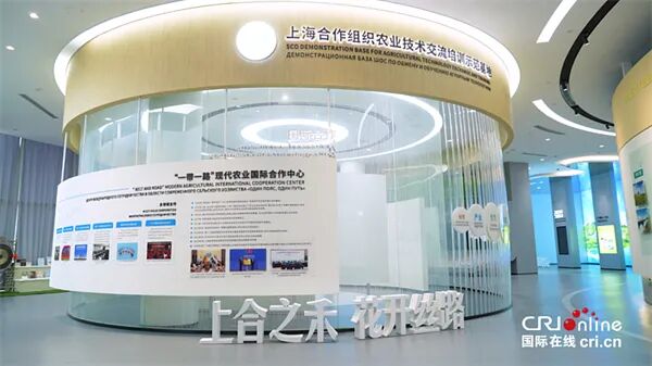 1749718491076089016.jpg 图片