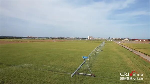 1749718528680022532.jpg 图片