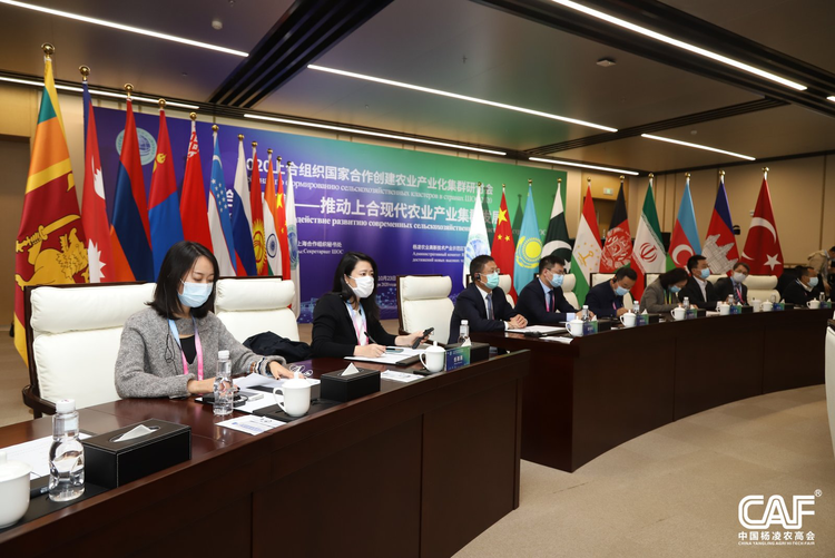 (有修改) (已修改)以“合”为序 杨凌示范区高质量绘制国际农业合作“工笔画”