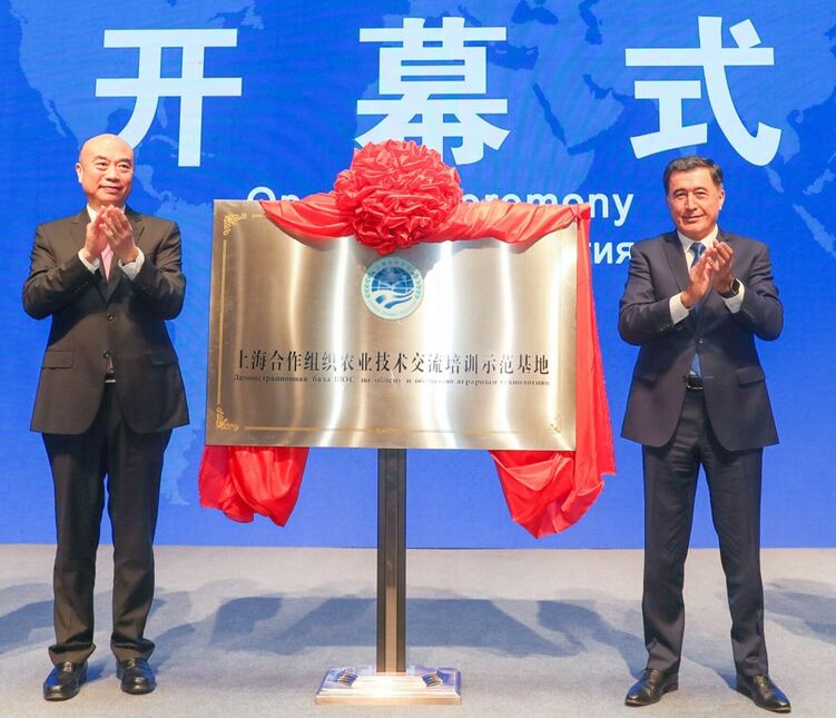 (有修改) (已修改)以“合”为序 杨凌示范区高质量绘制国际农业合作“工笔画”