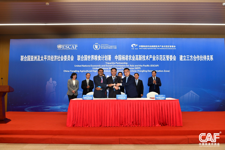 (有修改) (已修改)以“合”为序 杨凌示范区高质量绘制国际农业合作“工笔画”