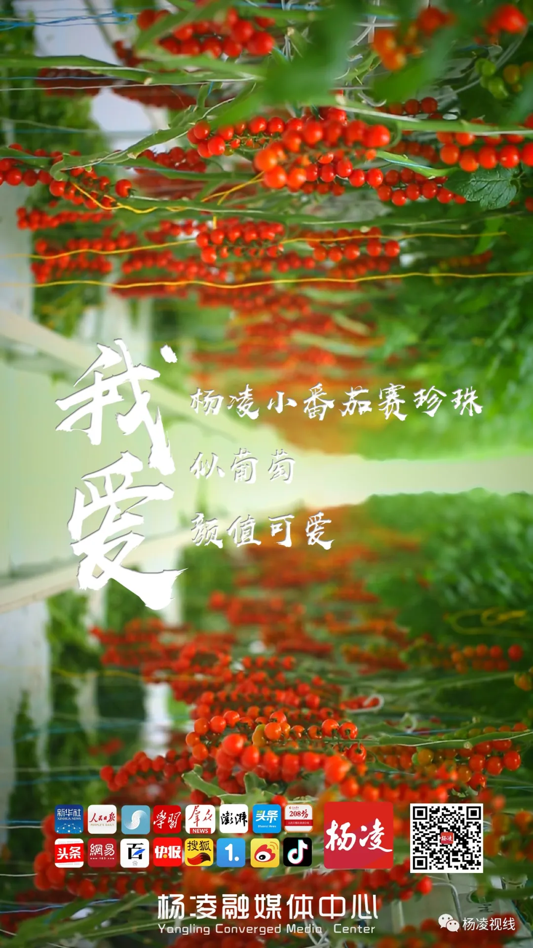 640wx_fmt=jpeg&tp=webp&wxfrom=5&wx_lazy=1&wx_co=1.jpg