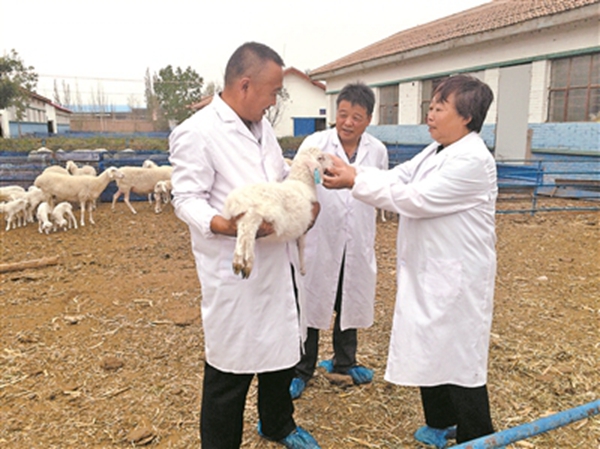 25_505067_b_副本.jpg