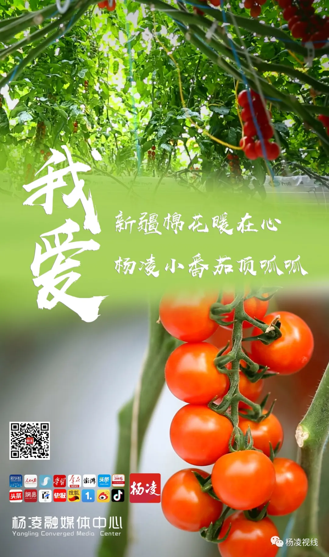 640wx_fmt=jpeg&tp=webp&wxfrom=5&wx_lazy=1&wx_co=1.jpg