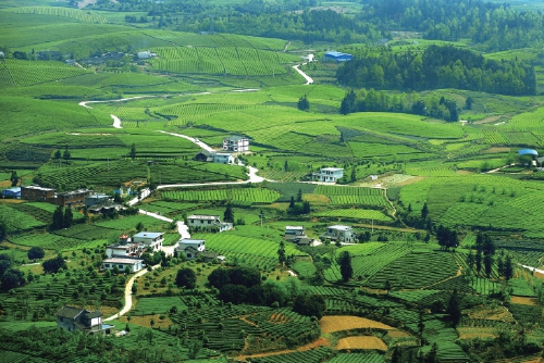 “转折之城”绘蓝图　扬帆远航风正劲