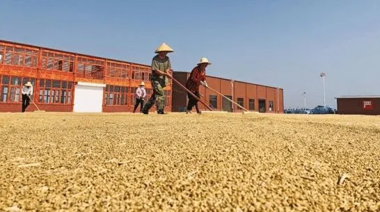 640wx_fmt=jpeg&tp=webp&wxfrom=5&wx_lazy=1&wx_co=1 (1).jpg 640wx_fmt=jpeg&tp=webp&wxfrom=5&wx_lazy=1&wx_co=1 (1).jpg