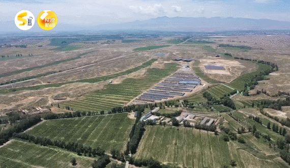 640wx_fmt=gif&tp=webp&wxfrom=5&wx_lazy=1.jpg 640wx_fmt=gif&tp=webp&wxfrom=5&wx_lazy=1.jpg