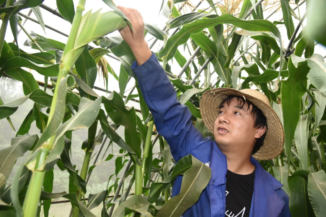 640wx_fmt=jpeg&tp=webp&wxfrom=5&wx_lazy=1&wx_co=1 (1).jpg 640wx_fmt=jpeg&tp=webp&wxfrom=5&wx_lazy=1&wx_co=1 (1).jpg