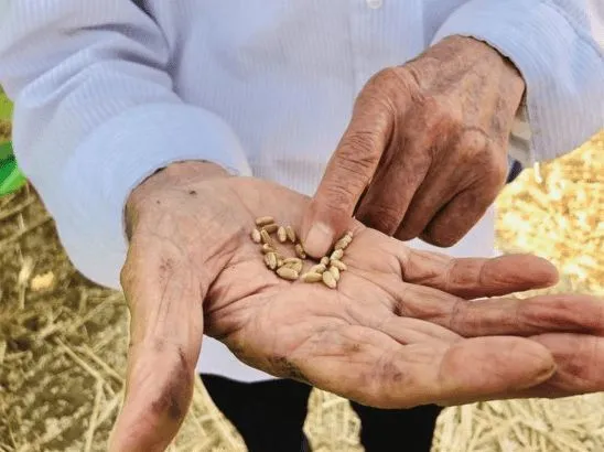 640wx_fmt=jpeg&tp=webp&wxfrom=5&wx_lazy=1&wx_co=1 (1).jpg 640wx_fmt=jpeg&tp=webp&wxfrom=5&wx_lazy=1&wx_co=1 (1).jpg