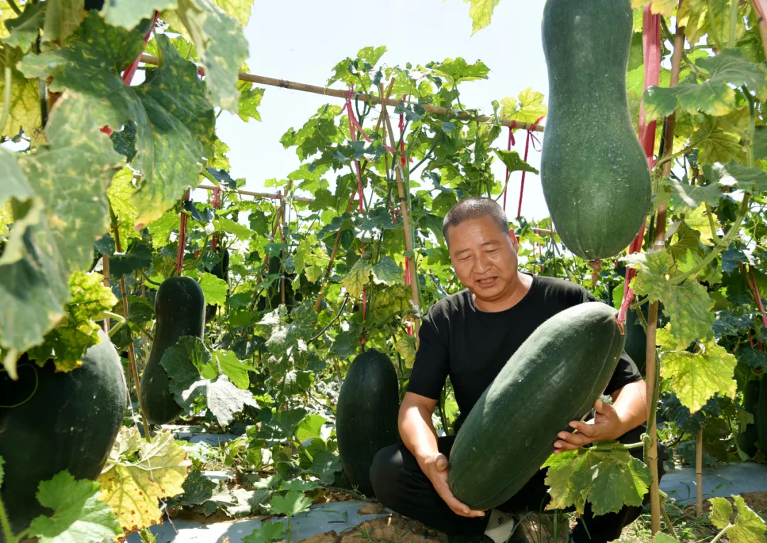 640wx_fmt=jpeg&tp=webp&wxfrom=5&wx_lazy=1&wx_co=1 (1).jpg 640wx_fmt=jpeg&tp=webp&wxfrom=5&wx_lazy=1&wx_co=1 (1).jpg