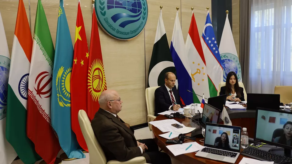 Консультации информационных служб