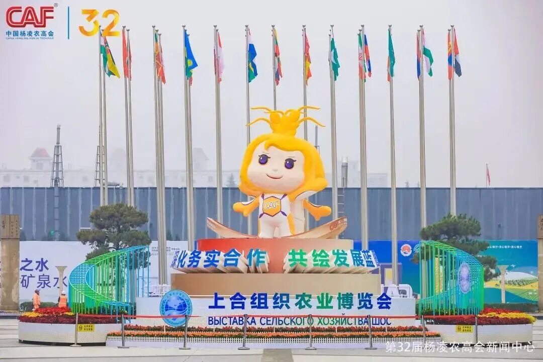 微信图片_2026-09-23_141756_449.jpg